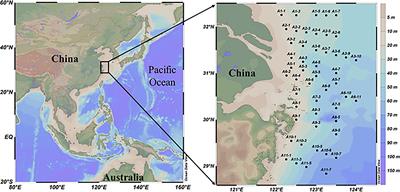 Multiple Lenses of N-Isotopes Reveal Active Dissolved Organic Nitrogen Cycling in a Subtropical Estuary and Marginal Sea